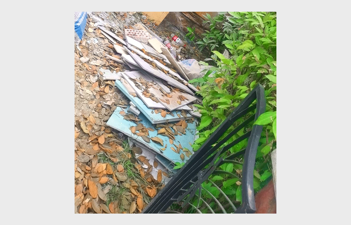 白蟻危害建筑物的主要原因-03.jpg