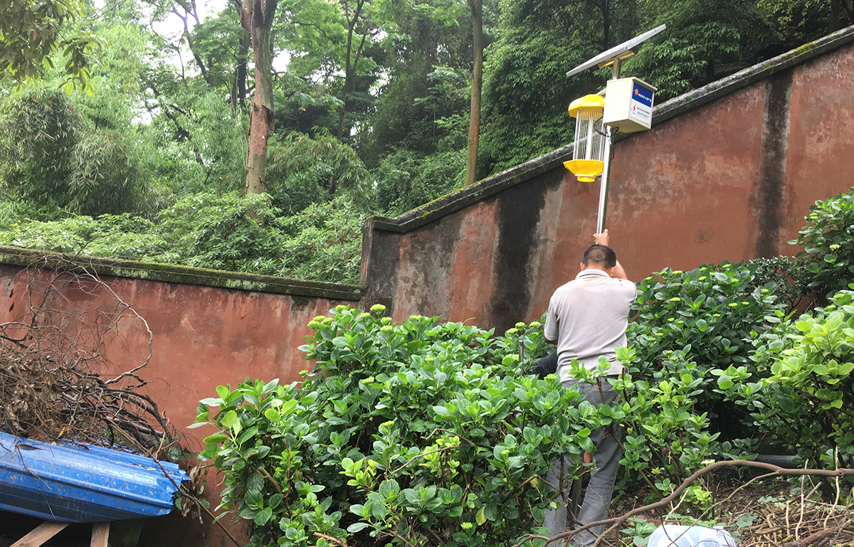 古建筑和房屋裝修的白蟻預(yù)防-01.jpg